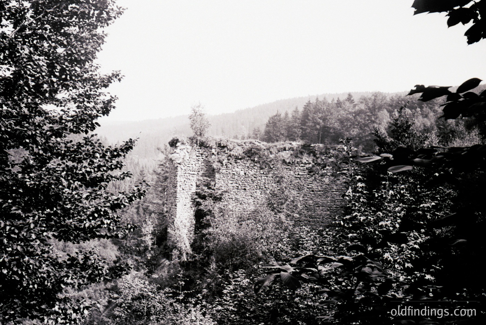 Vintage photograph