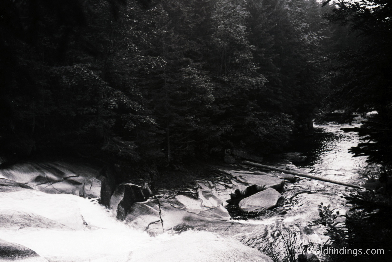 Vintage photograph
