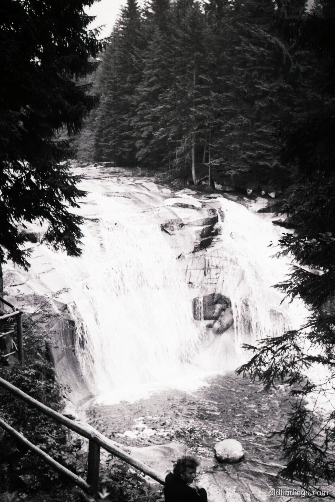 Vintage photograph