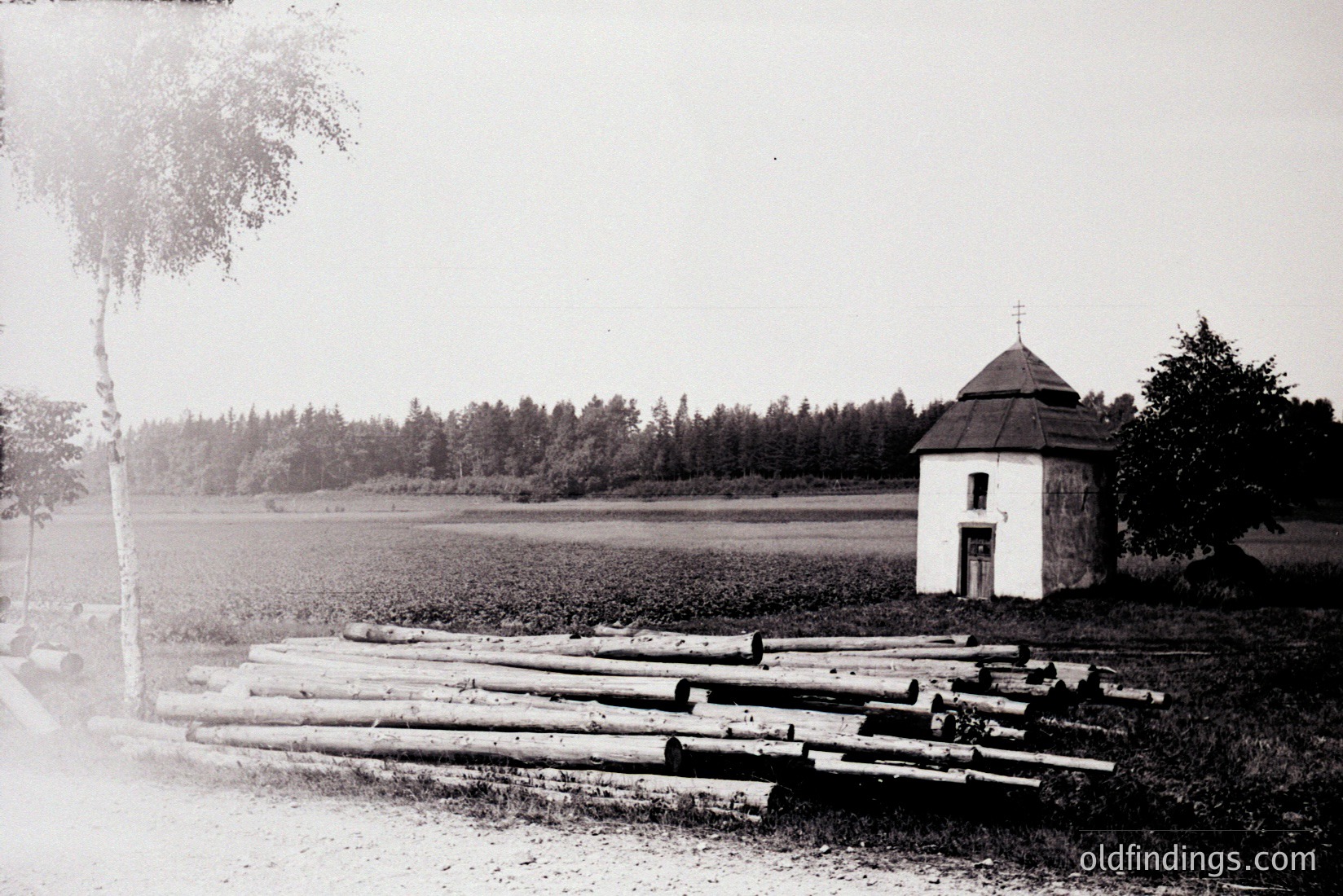 Vintage photograph