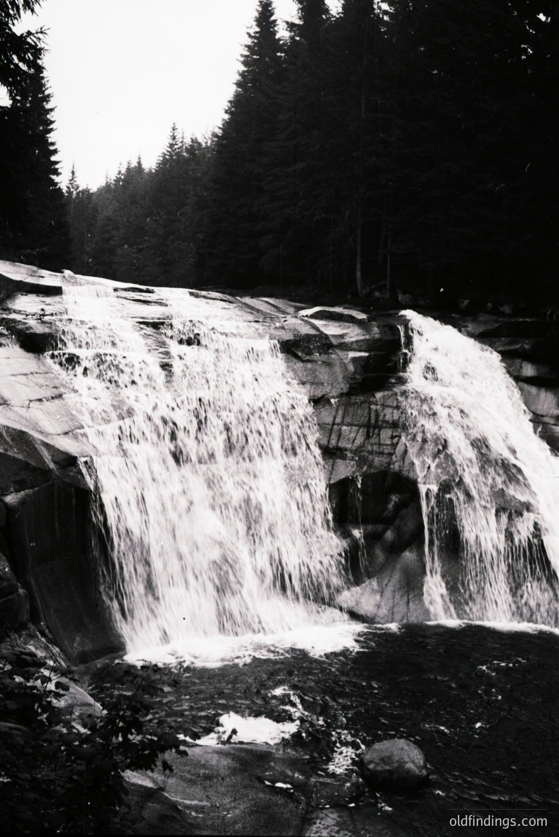 Vintage photograph