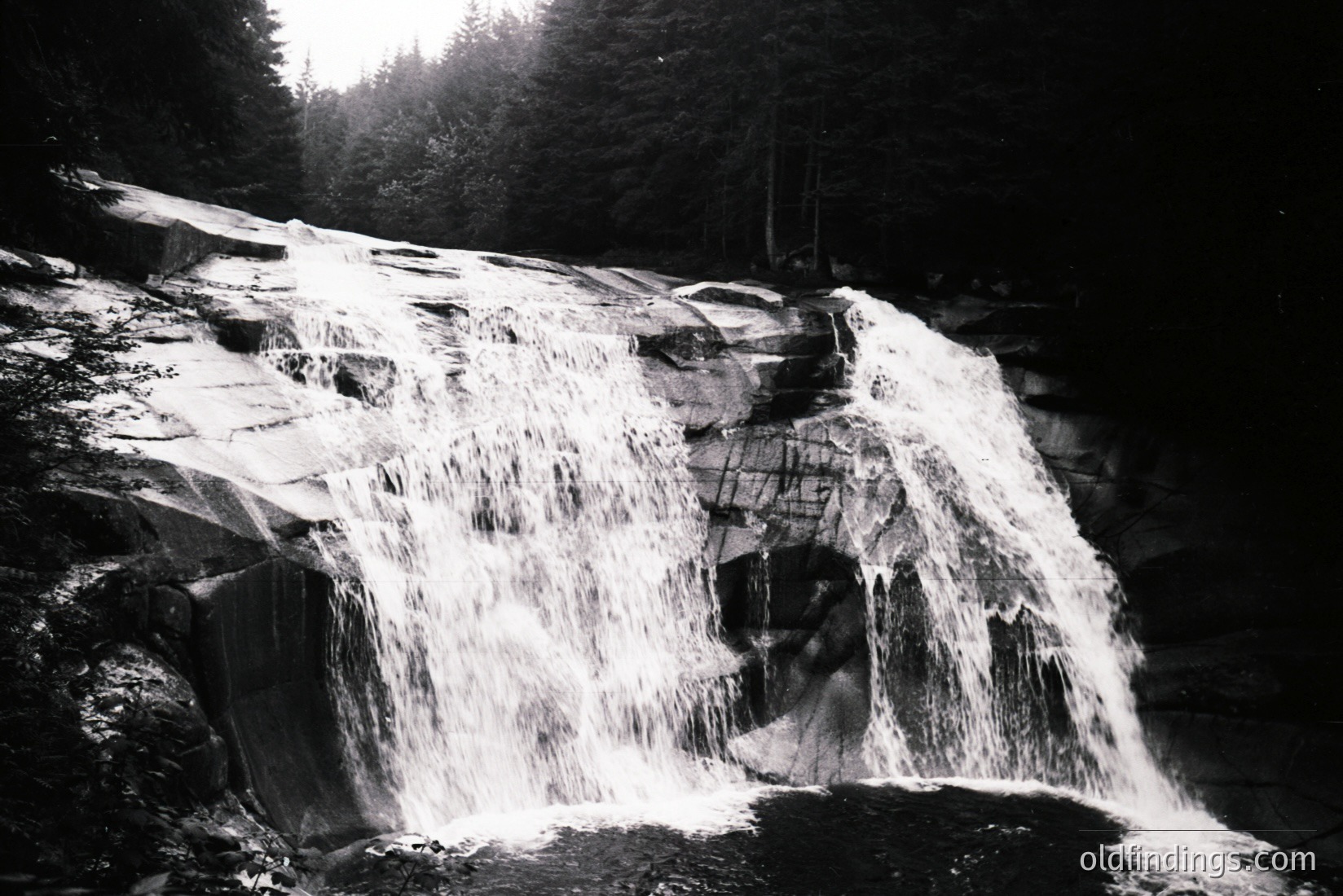 Vintage photograph