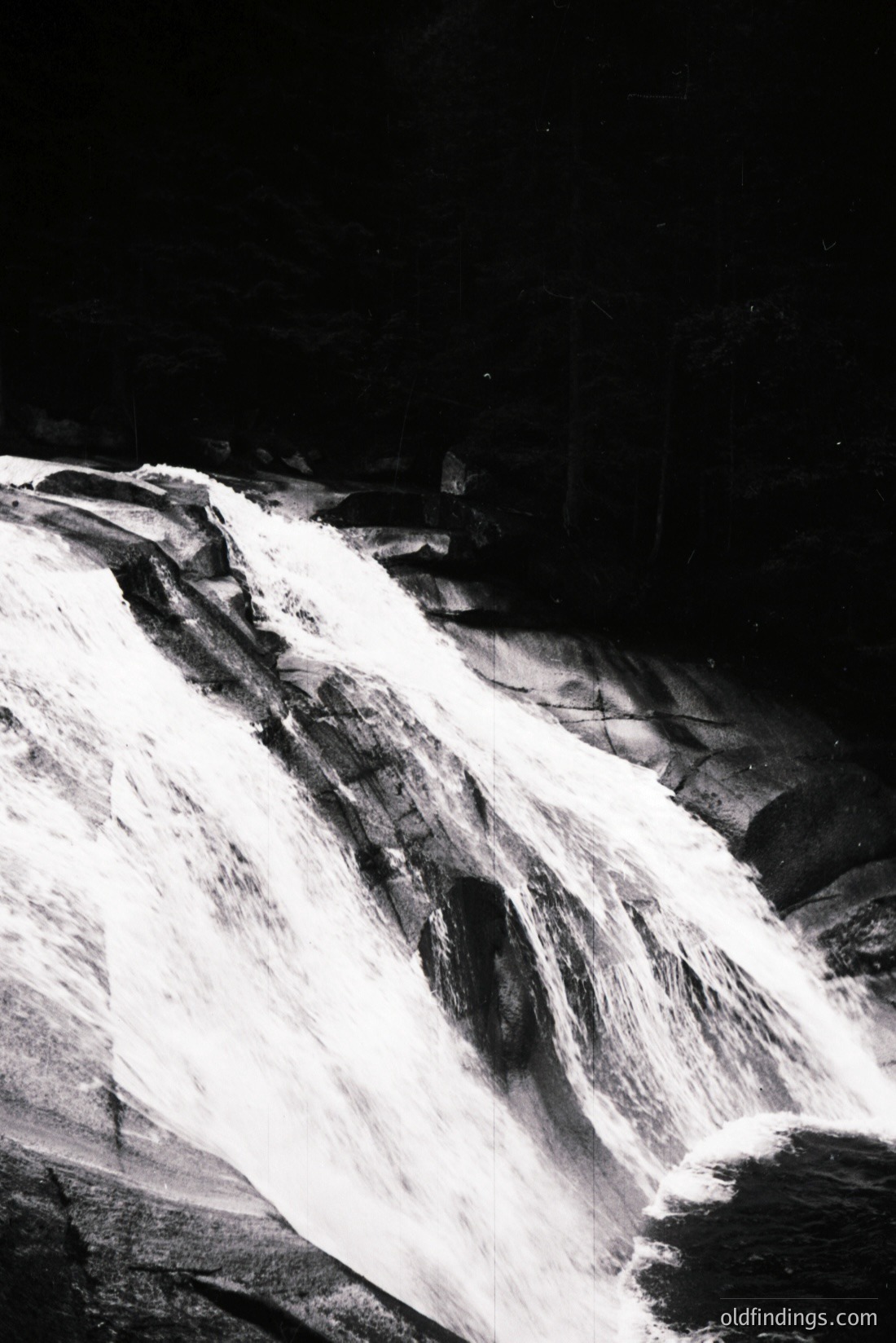 Vintage photograph