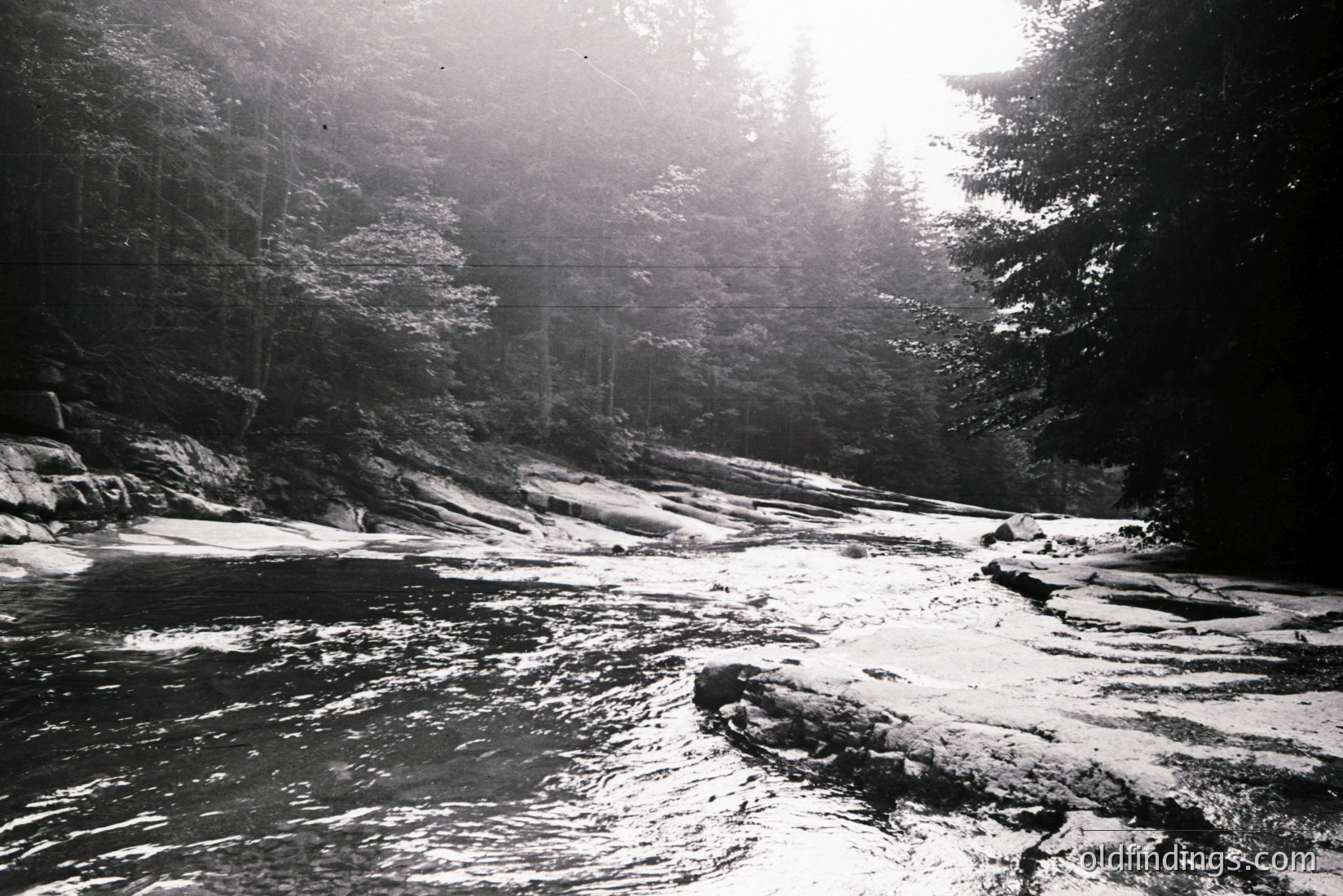 Vintage photograph