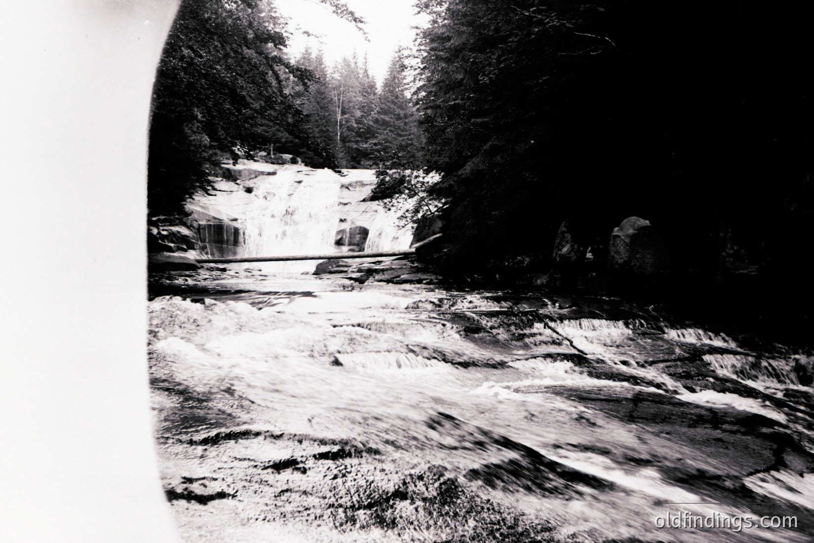 Vintage photograph