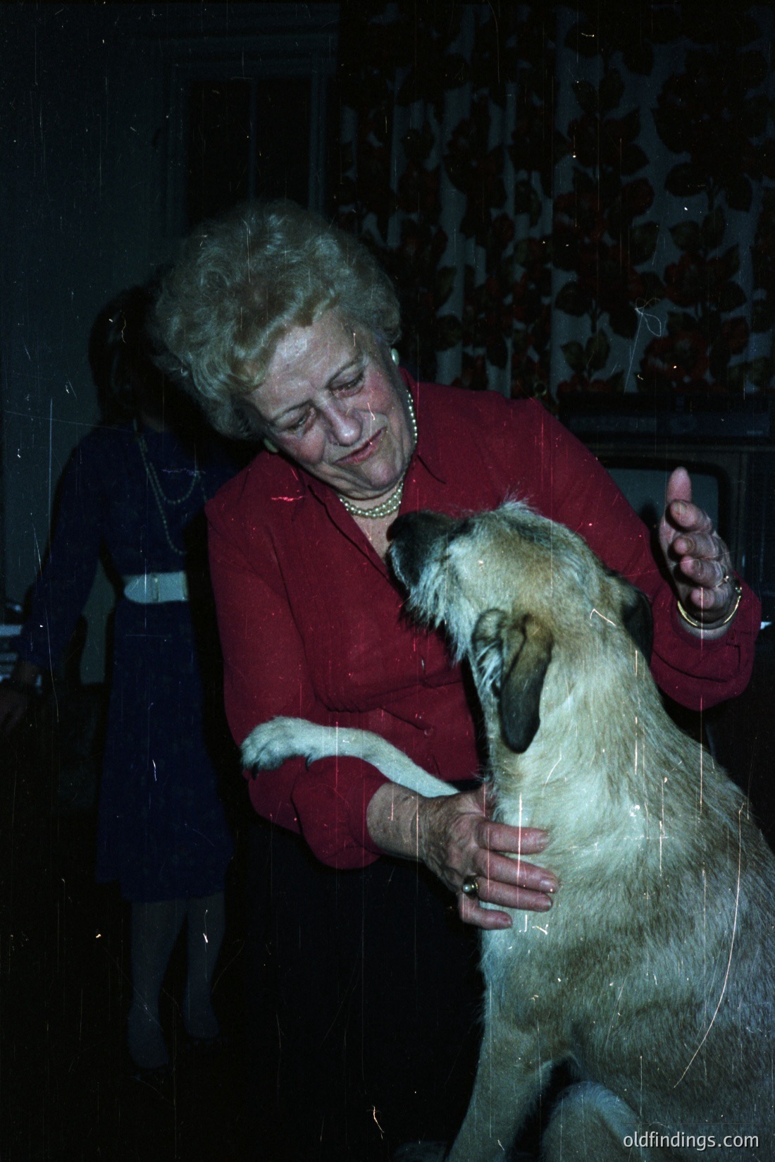 Vintage photograph