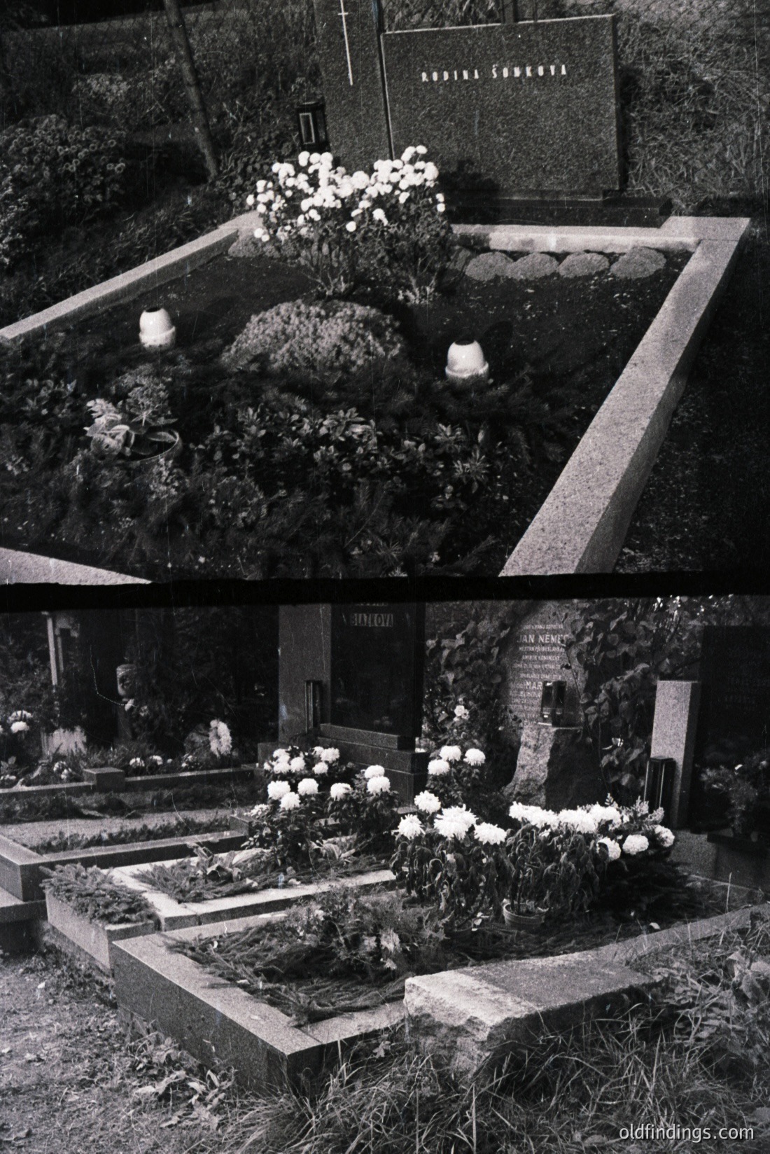 Vintage photograph