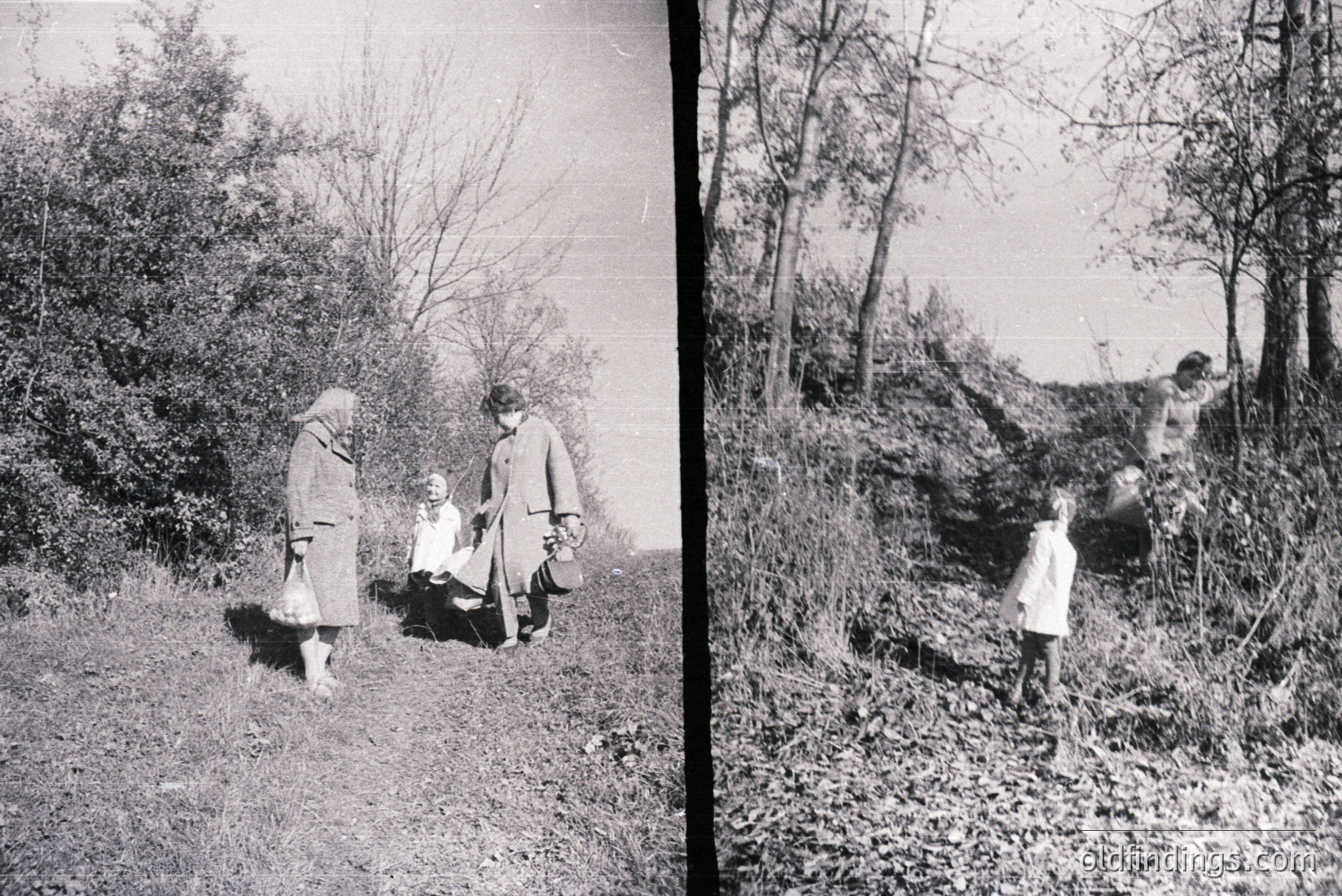 Vintage photograph