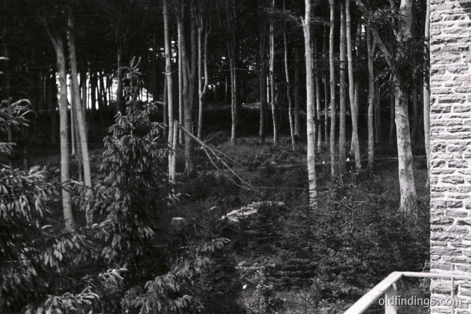 Vintage photograph