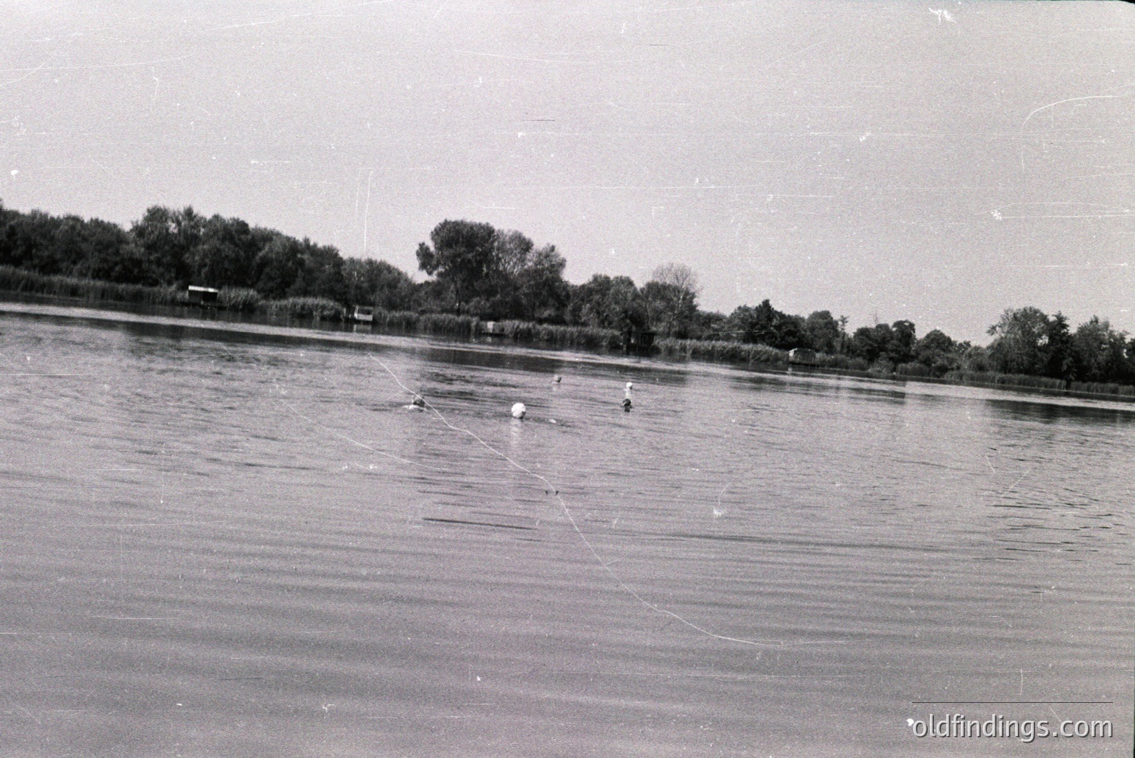 Vintage photograph
