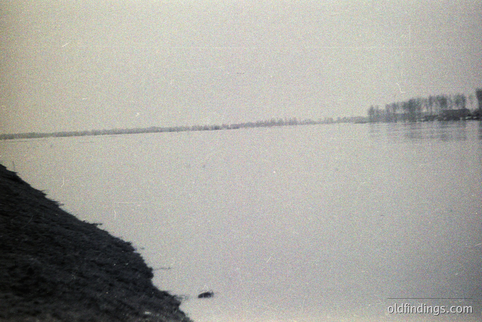 Vintage photograph