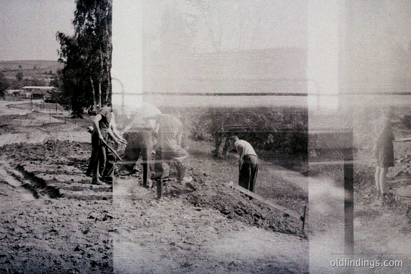 Vintage photograph