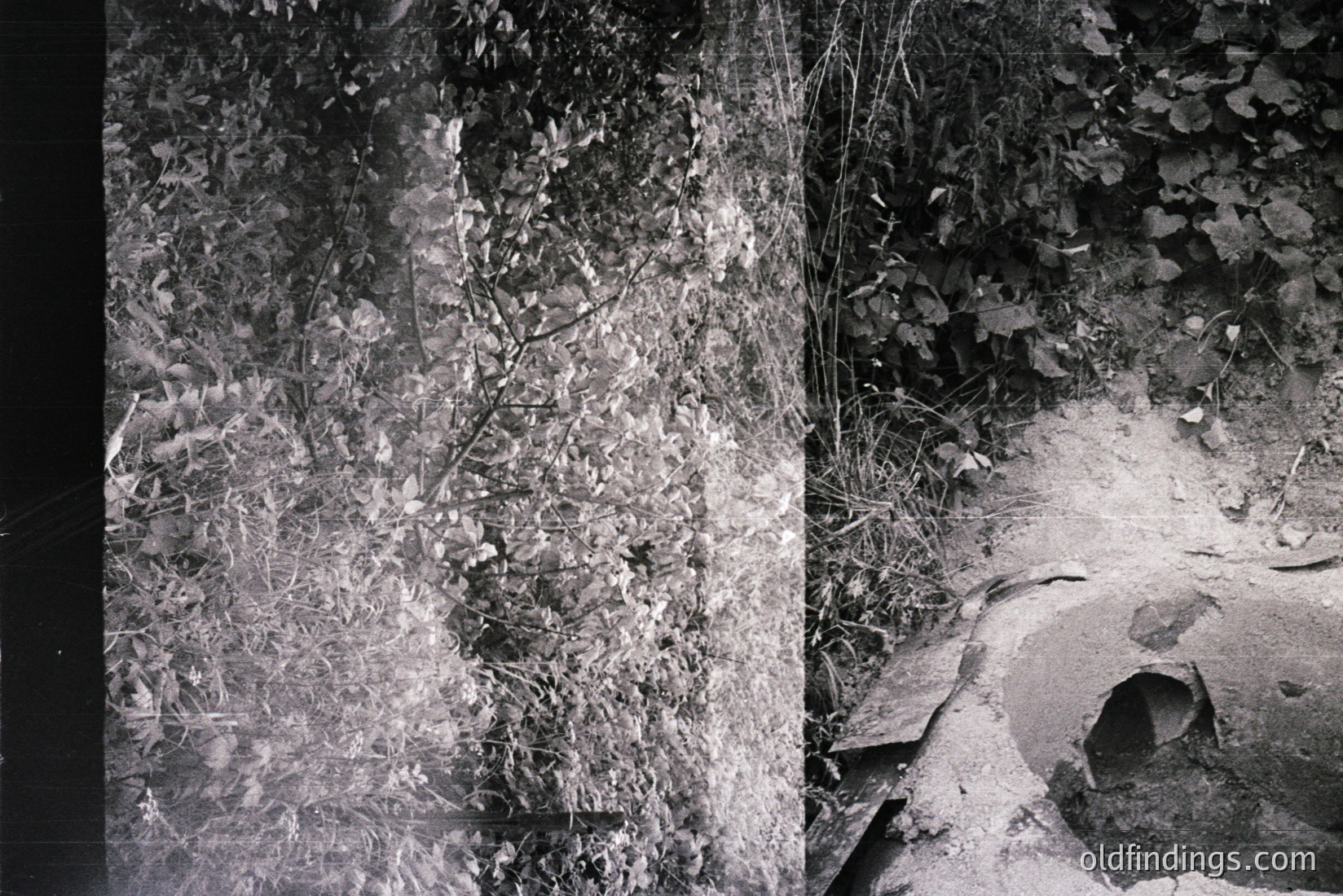 Vintage photograph