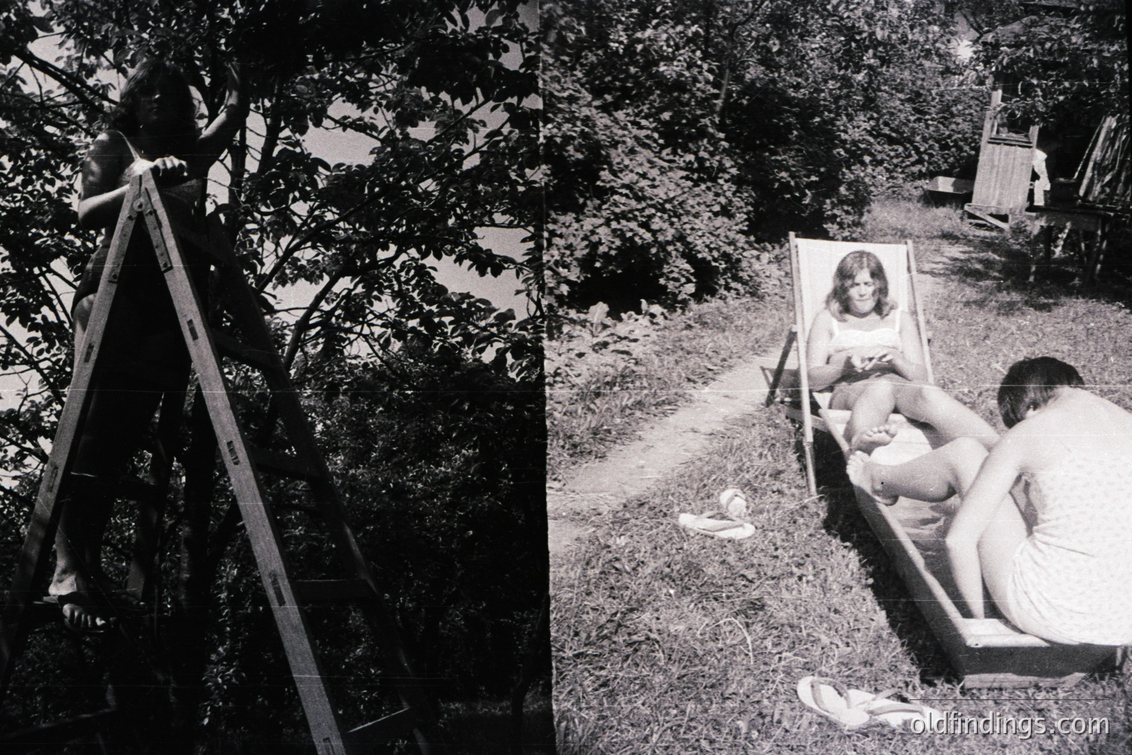 Vintage photograph