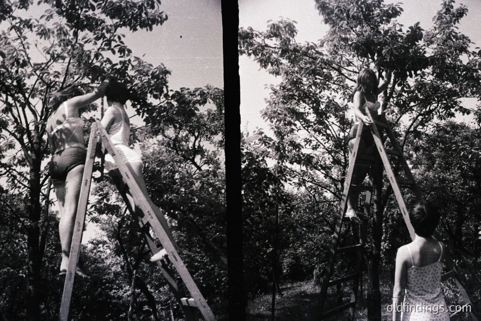 Vintage photograph