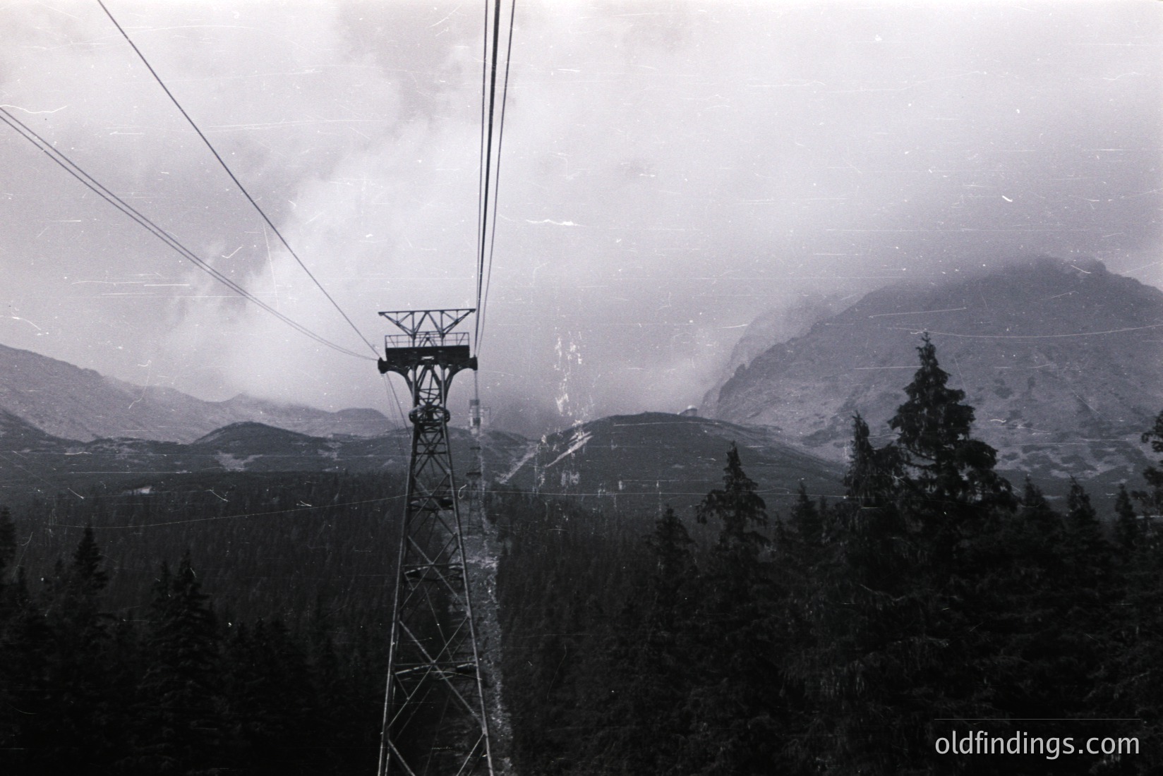 Vintage photograph