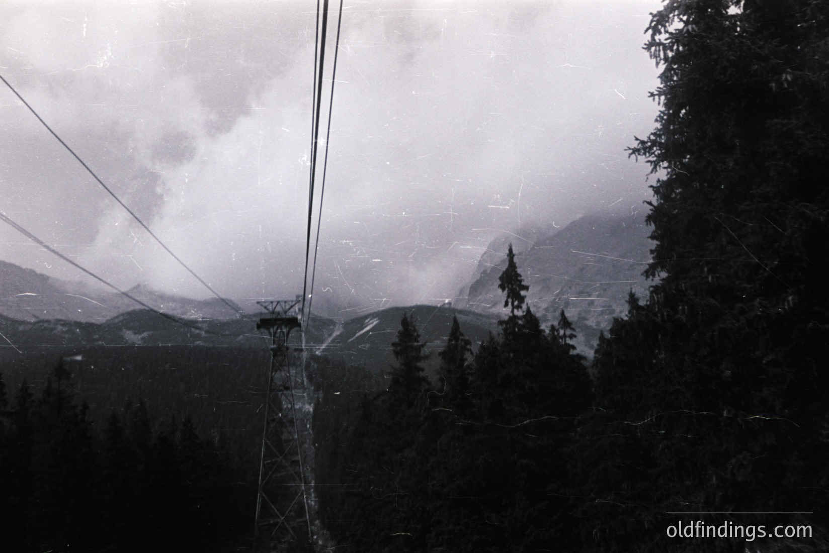Vintage photograph