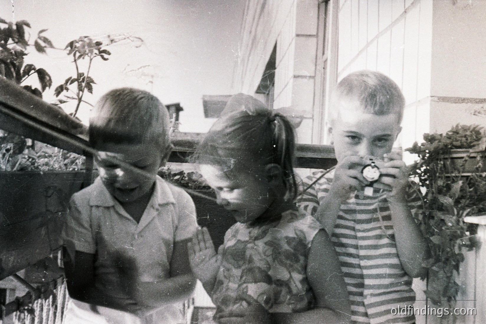 Vintage photograph