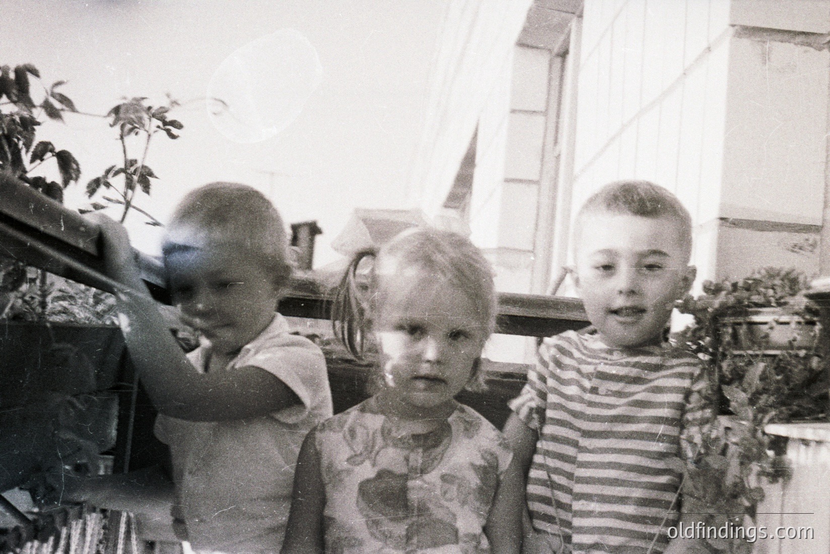 Vintage photograph
