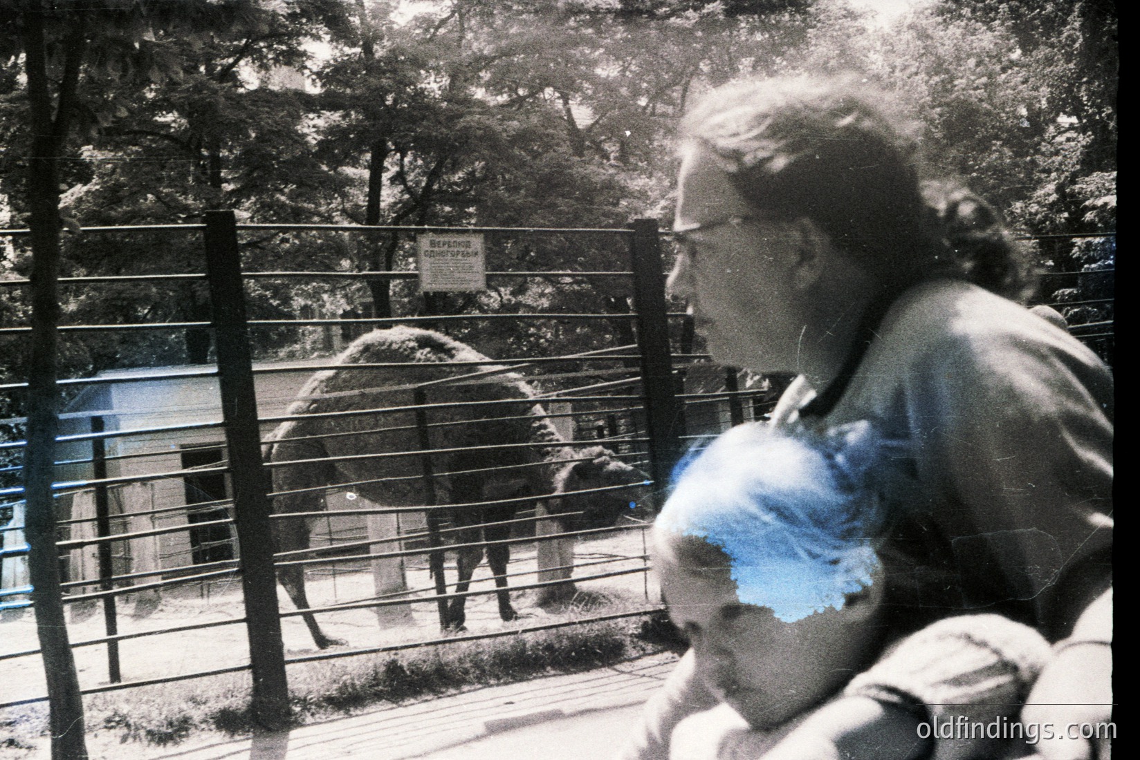Vintage photograph