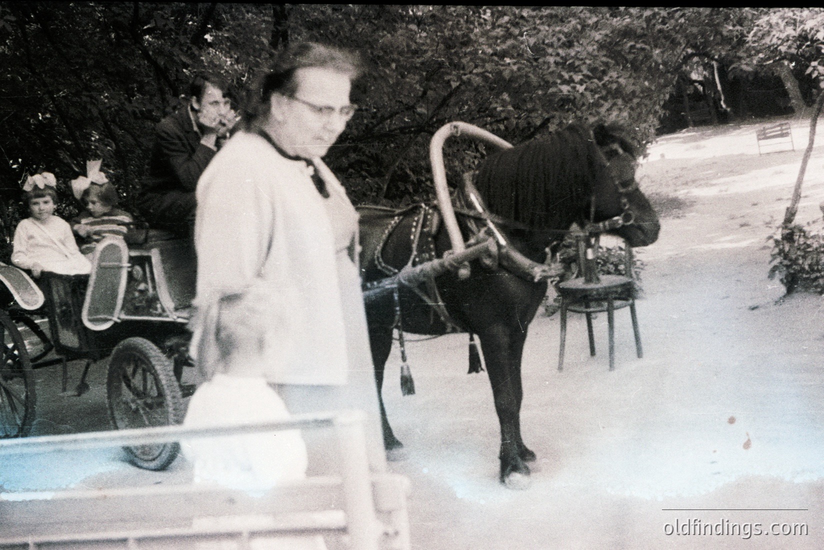 Vintage photograph