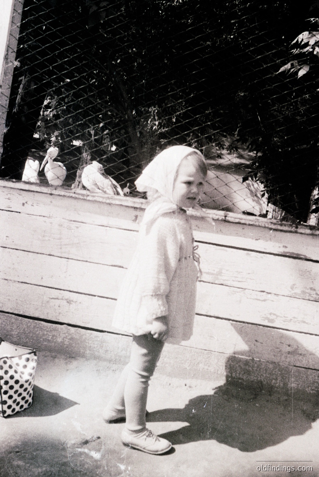 Vintage photograph
