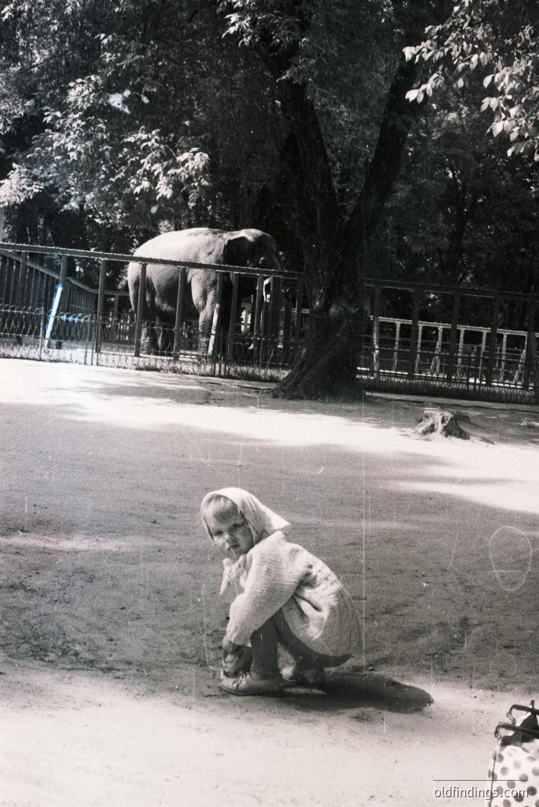 Vintage photograph