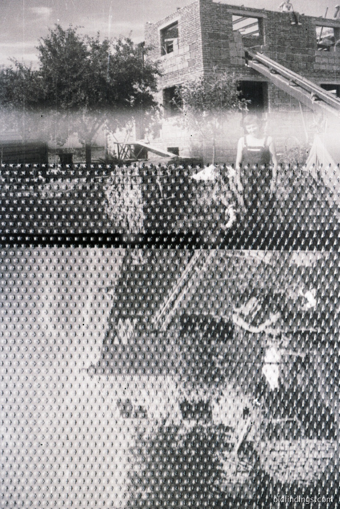Vintage photograph
