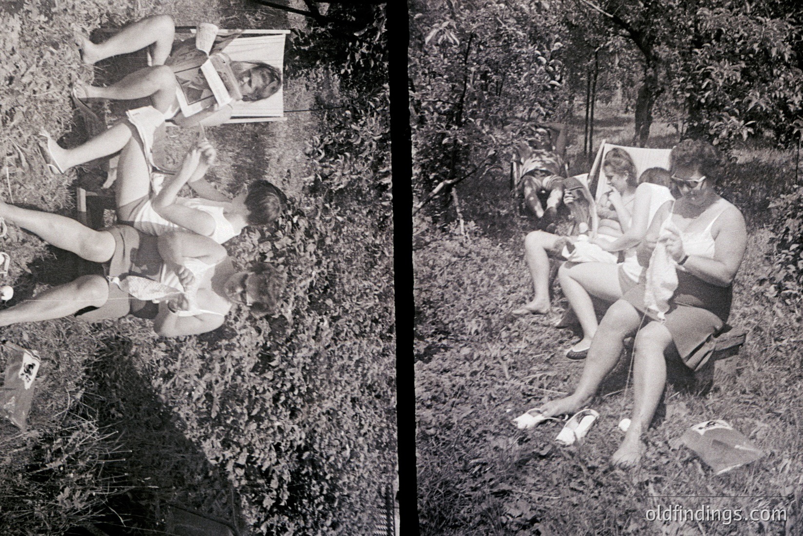 Vintage photograph
