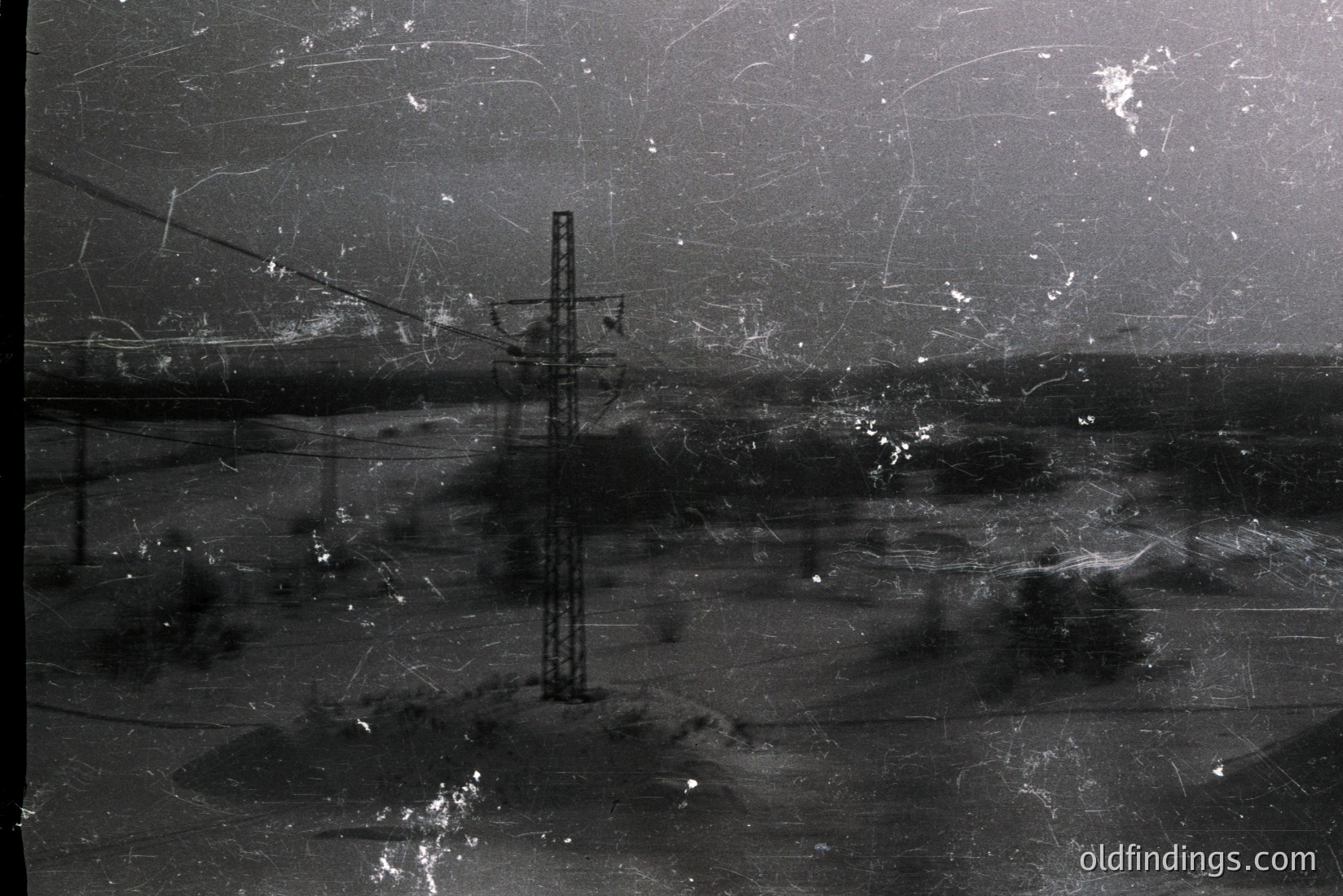 Vintage photograph