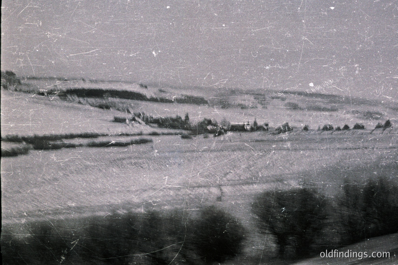Vintage photograph