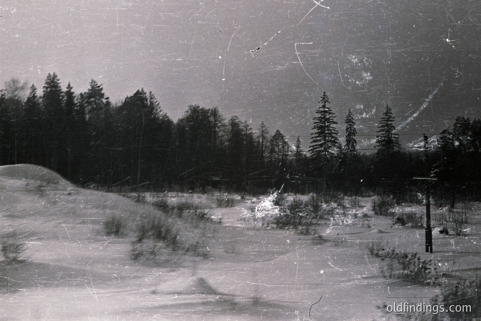 Vintage photograph