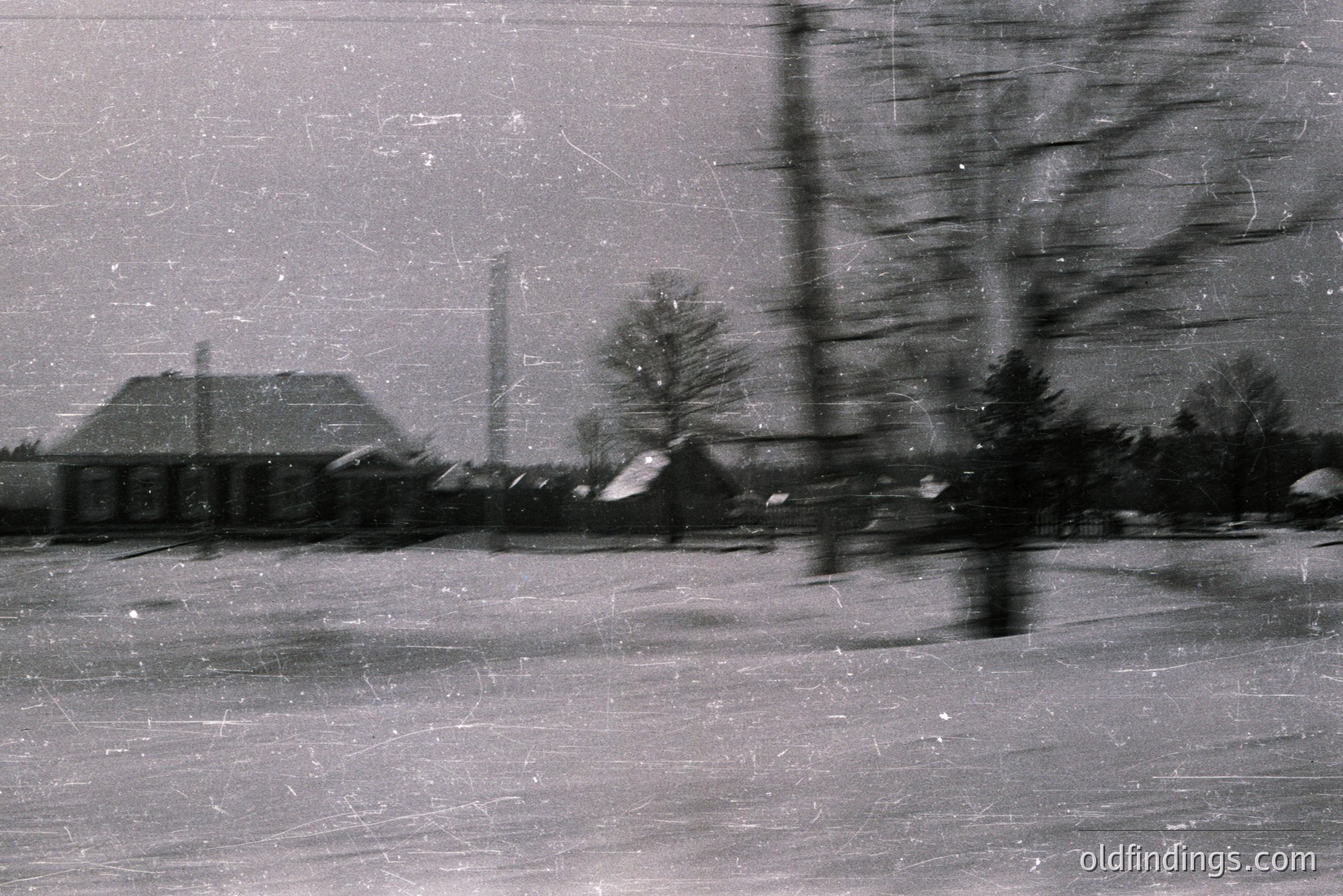Vintage photograph