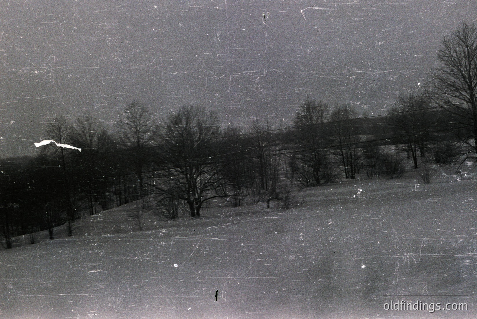 Vintage photograph