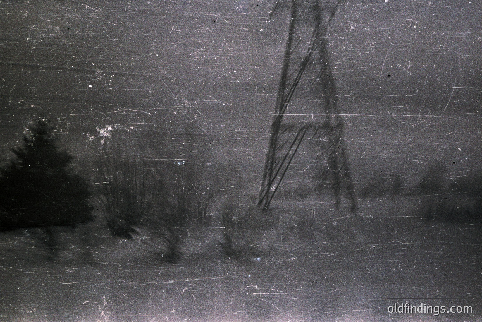 Vintage photograph