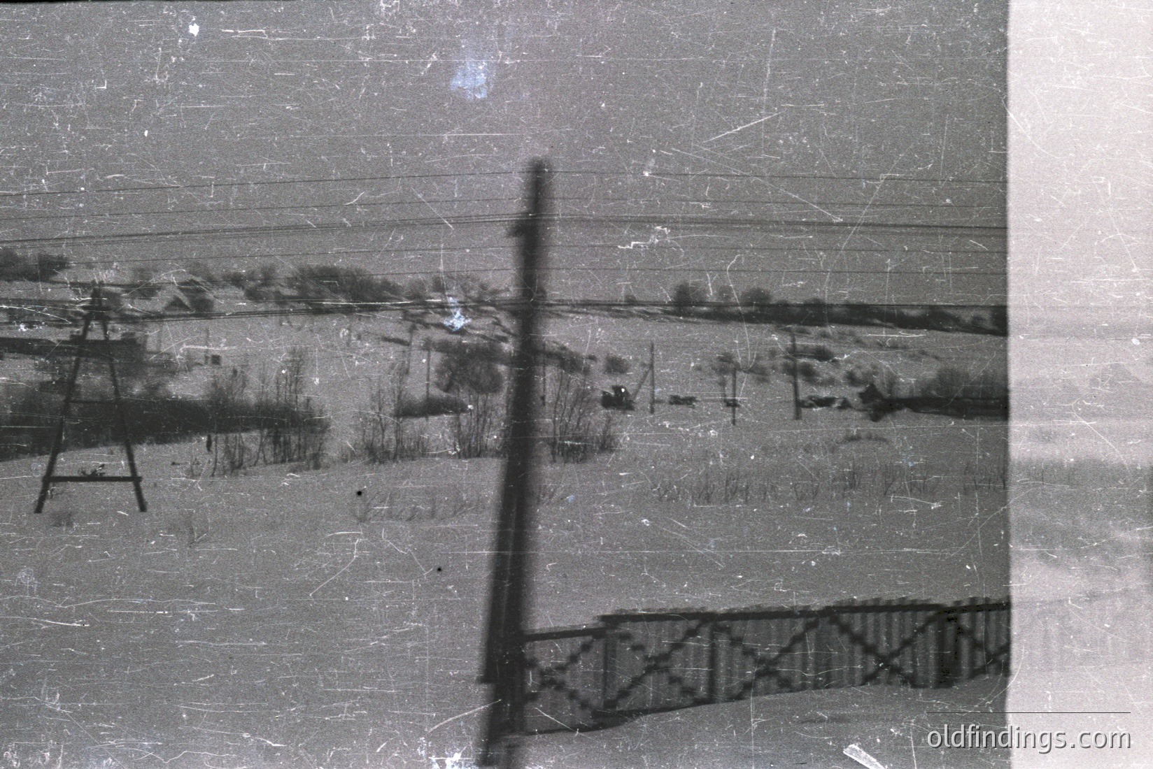 Vintage photograph