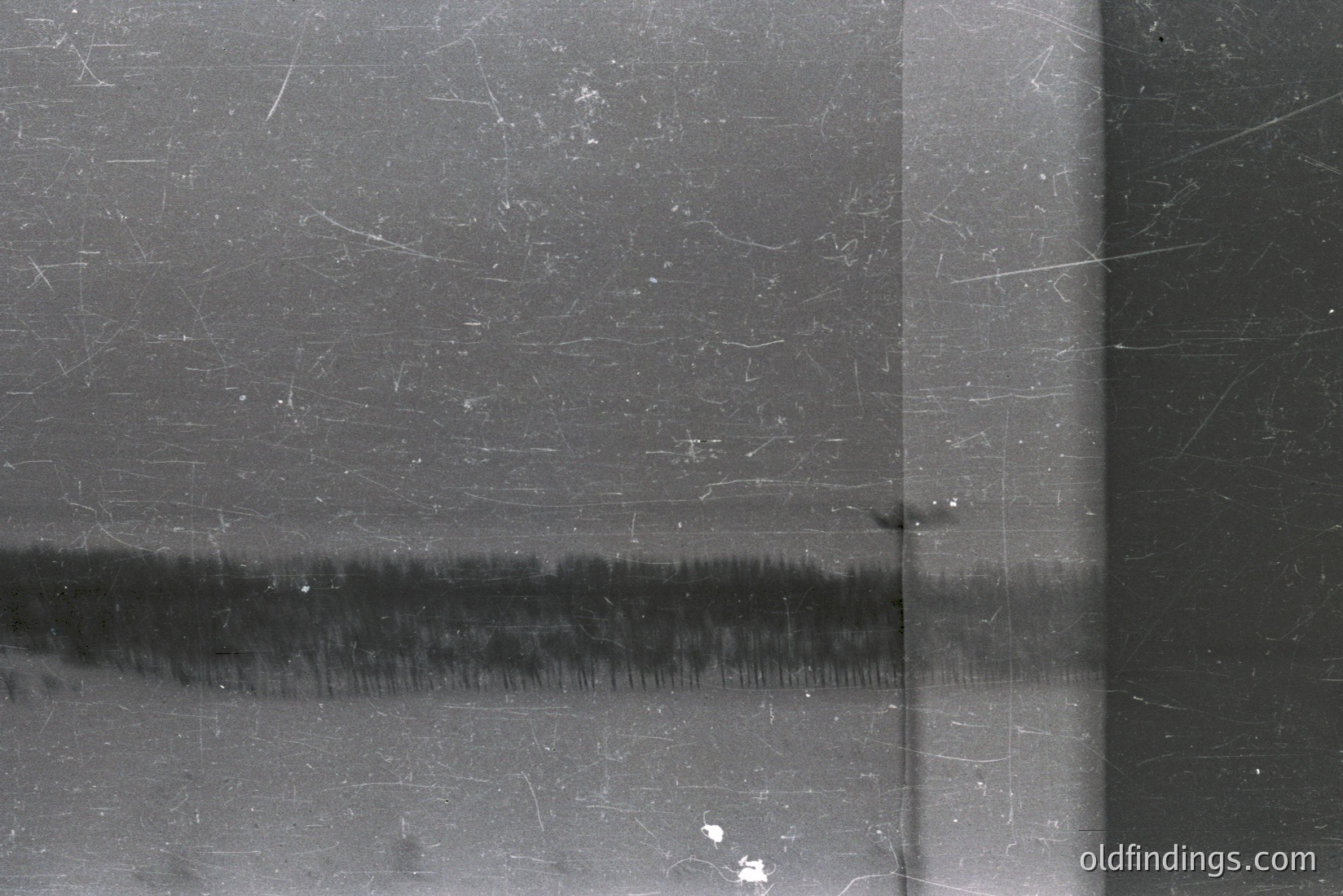 Vintage photograph