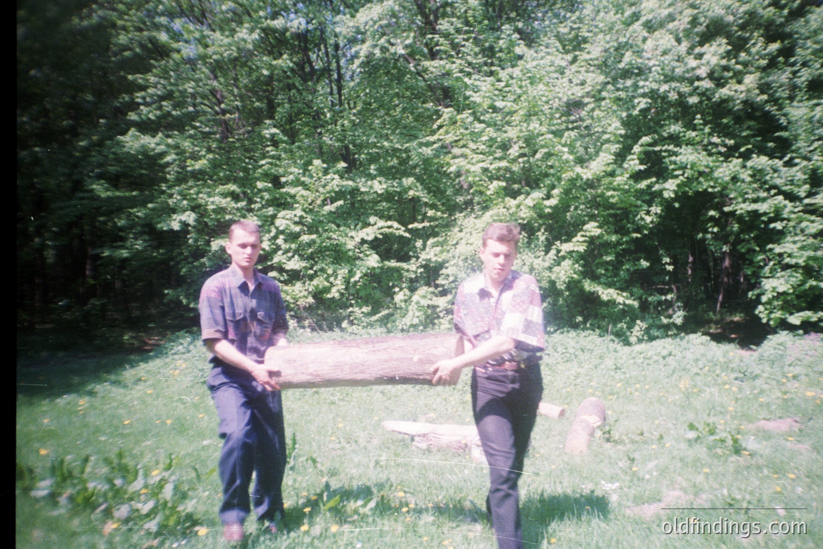 Vintage photograph