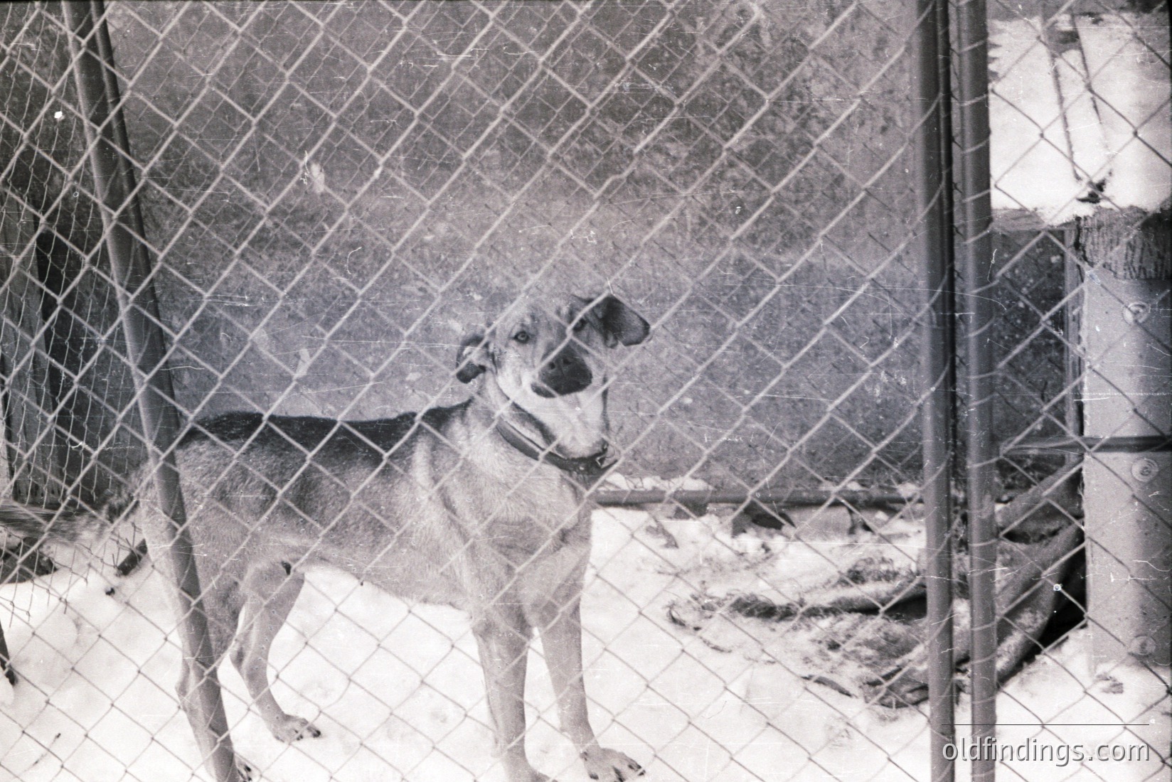 Vintage photograph