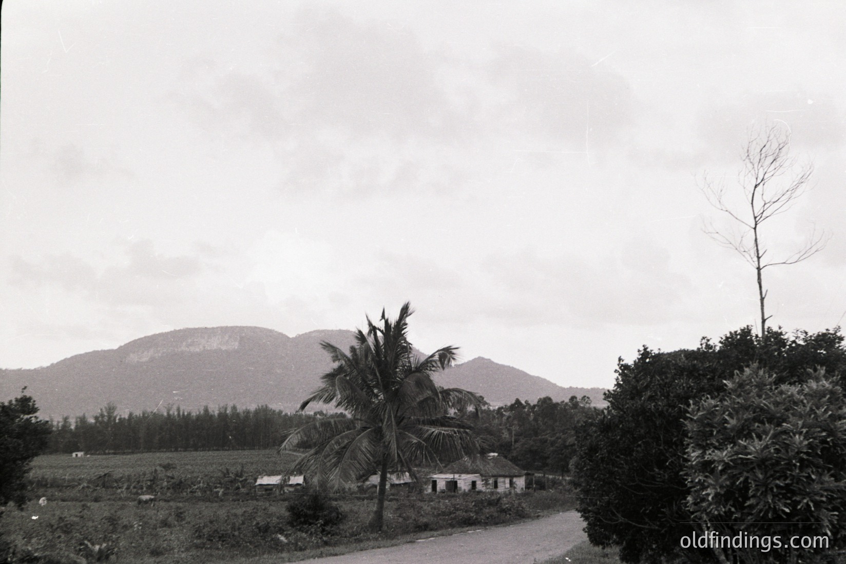 Vintage photograph
