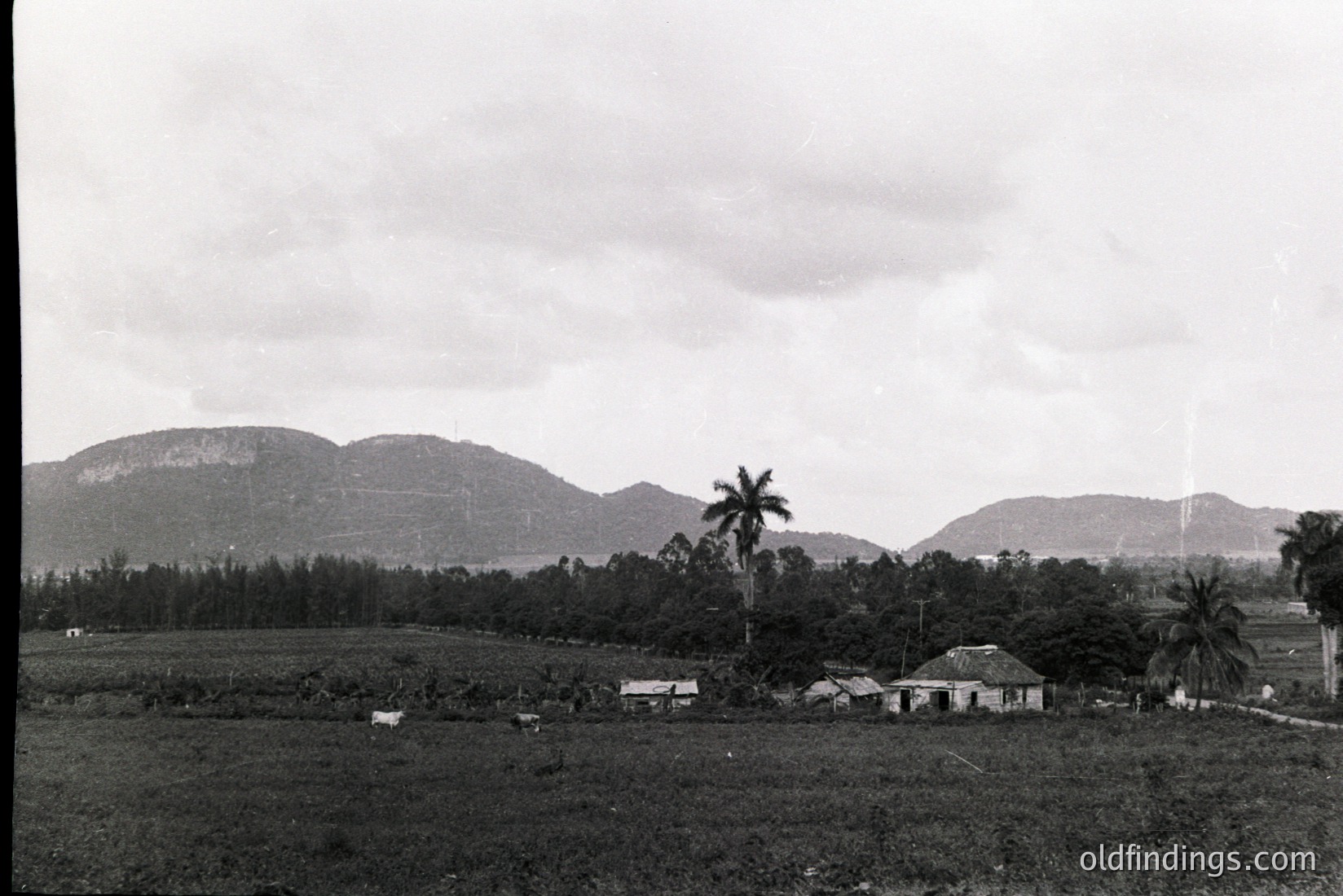 Vintage photograph