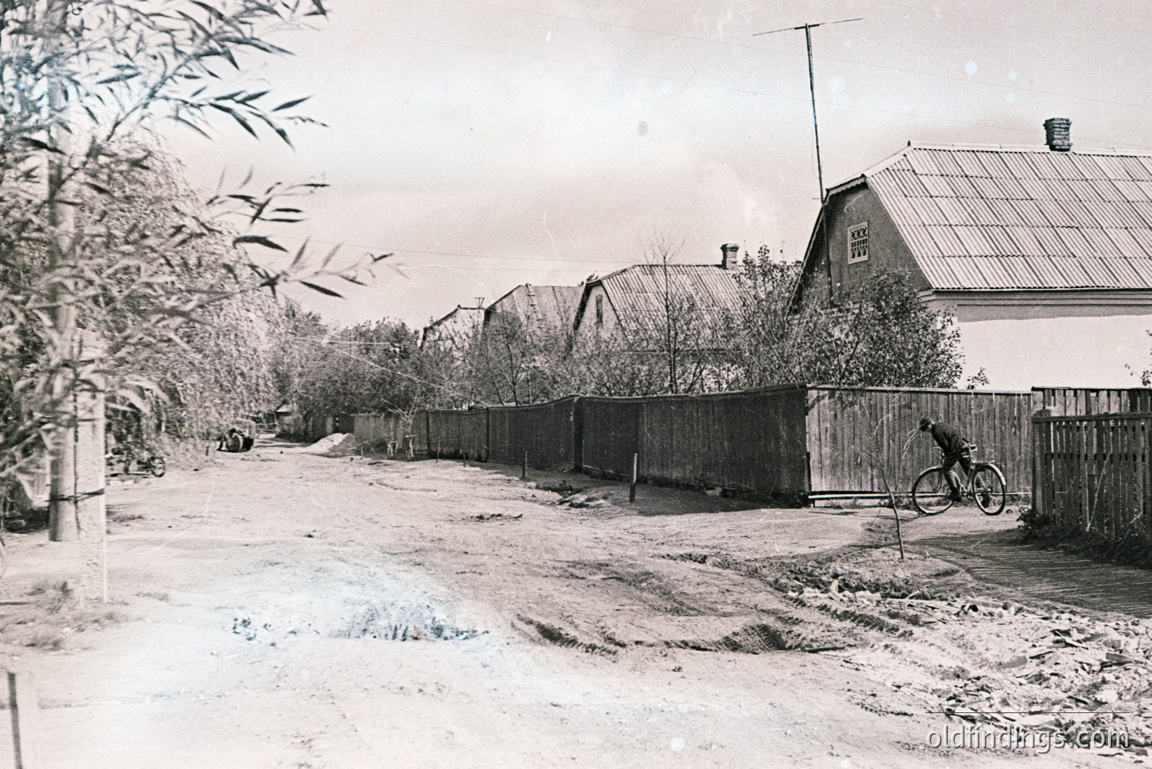 Vintage photograph