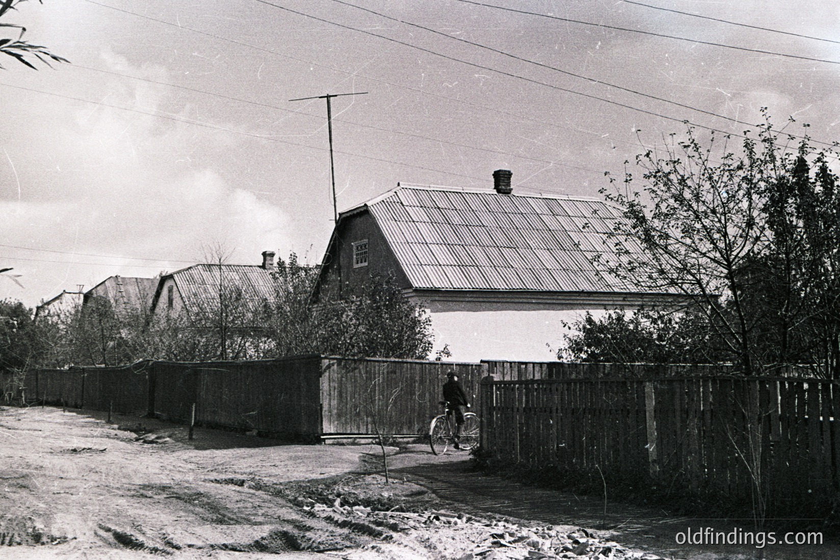 Vintage photograph