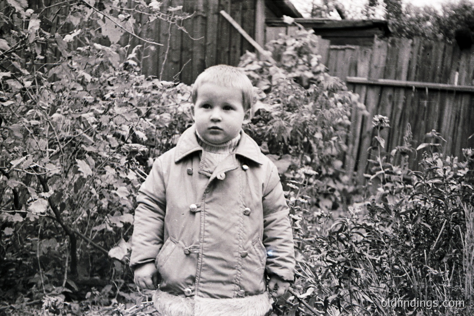 Vintage photograph
