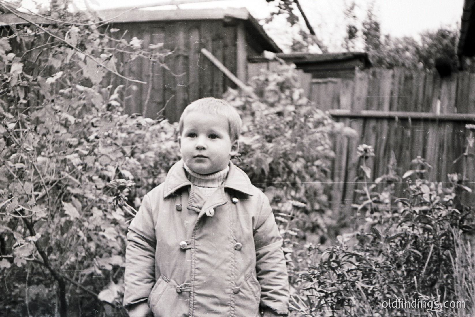 Vintage photograph