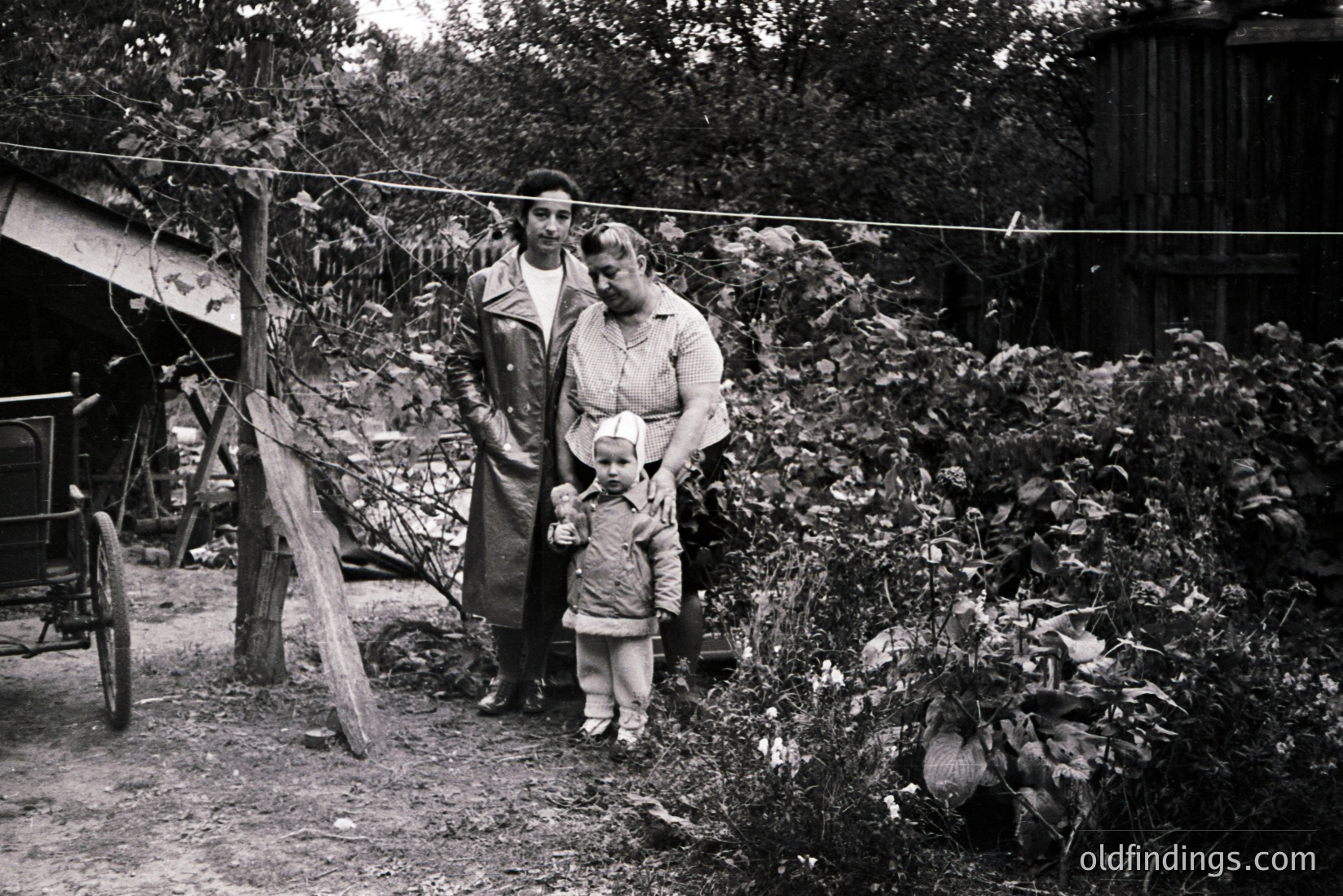 Vintage photograph