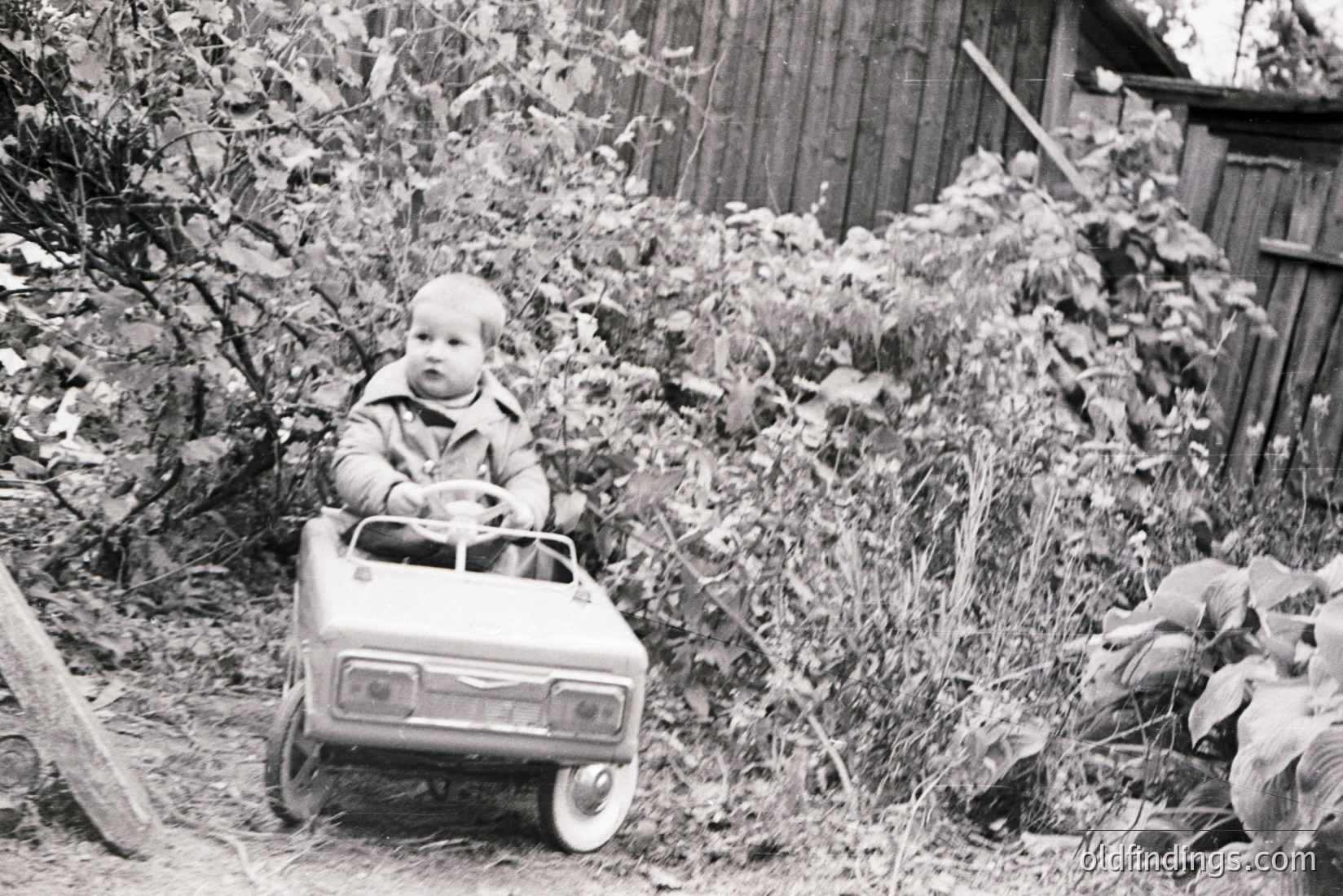 Vintage photograph