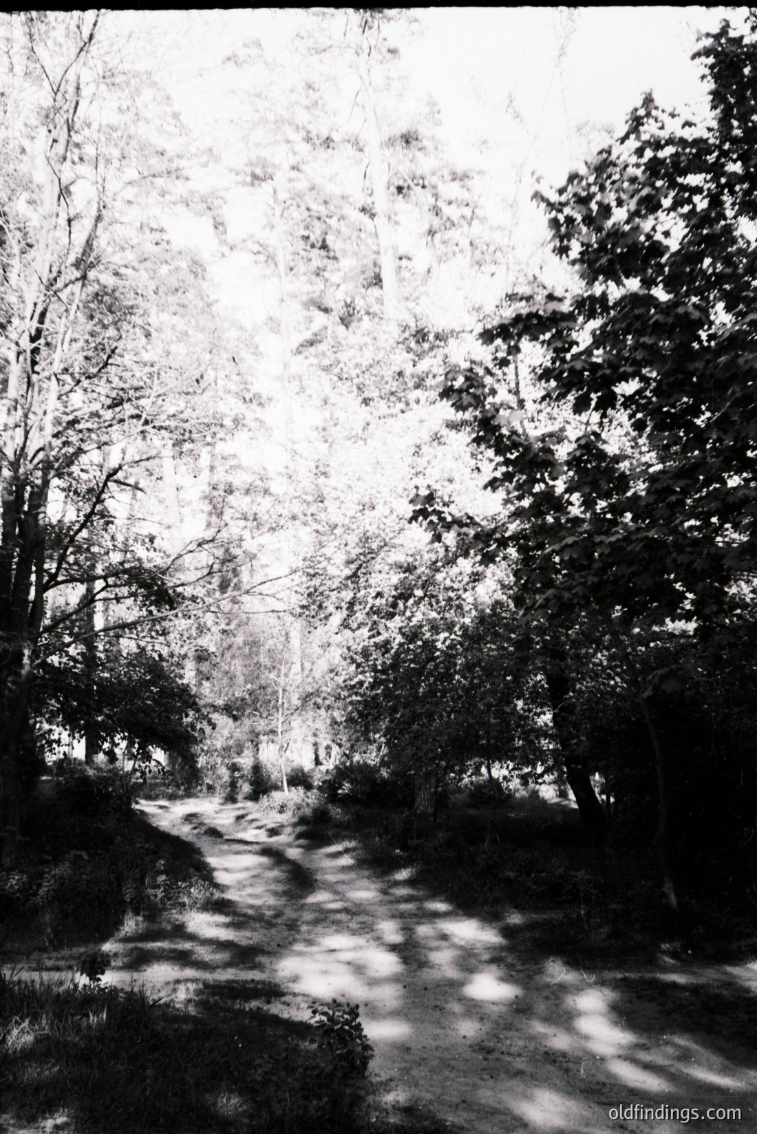 Vintage photograph