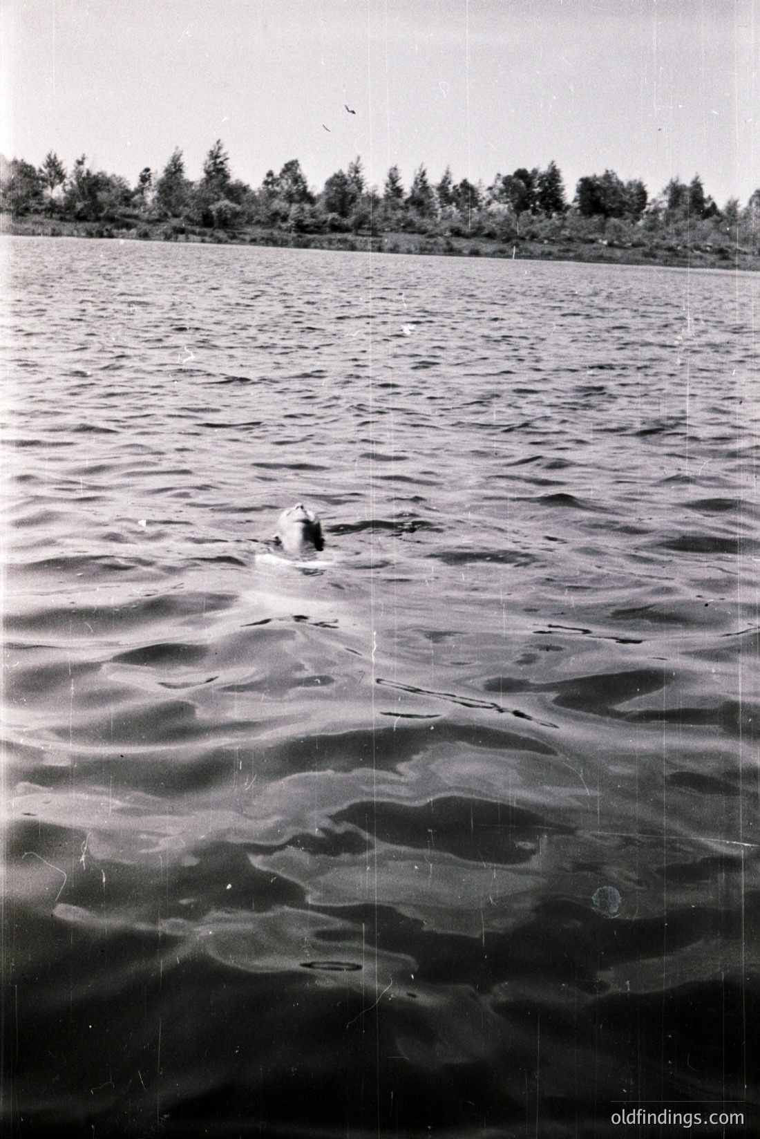 Vintage photograph
