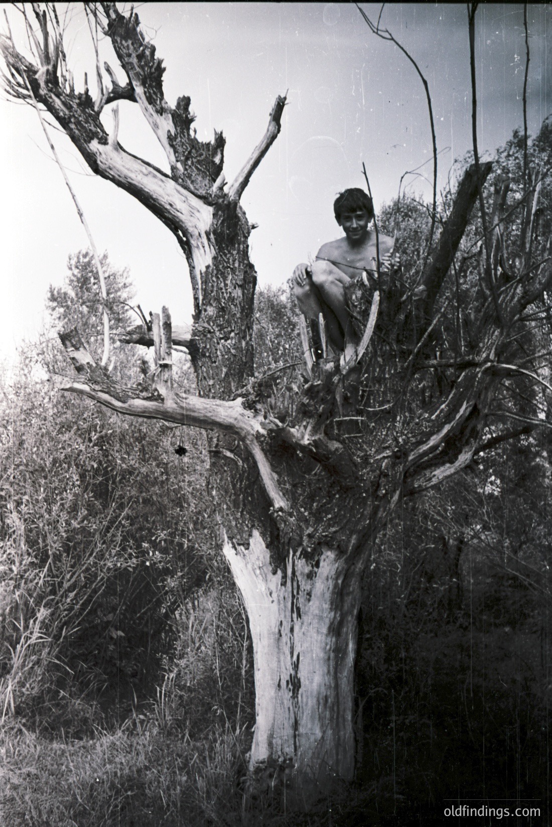 Vintage photograph
